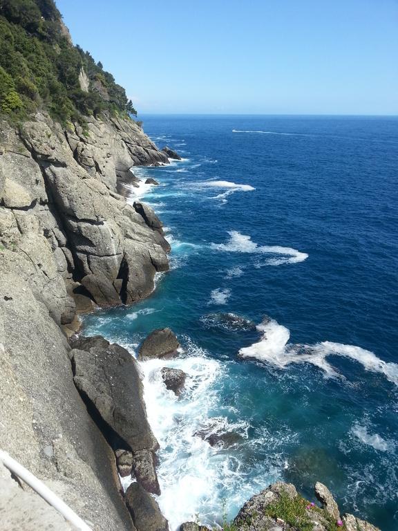Civico 3 Daire Portofino Dış mekan fotoğraf