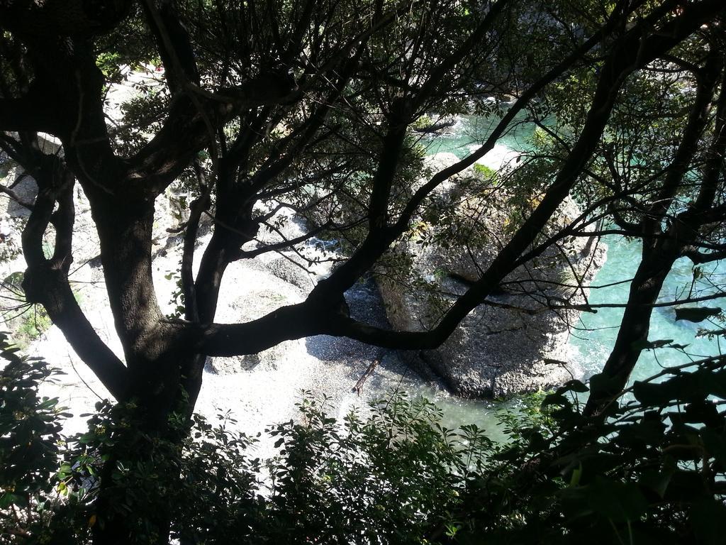 Civico 3 Daire Portofino Dış mekan fotoğraf