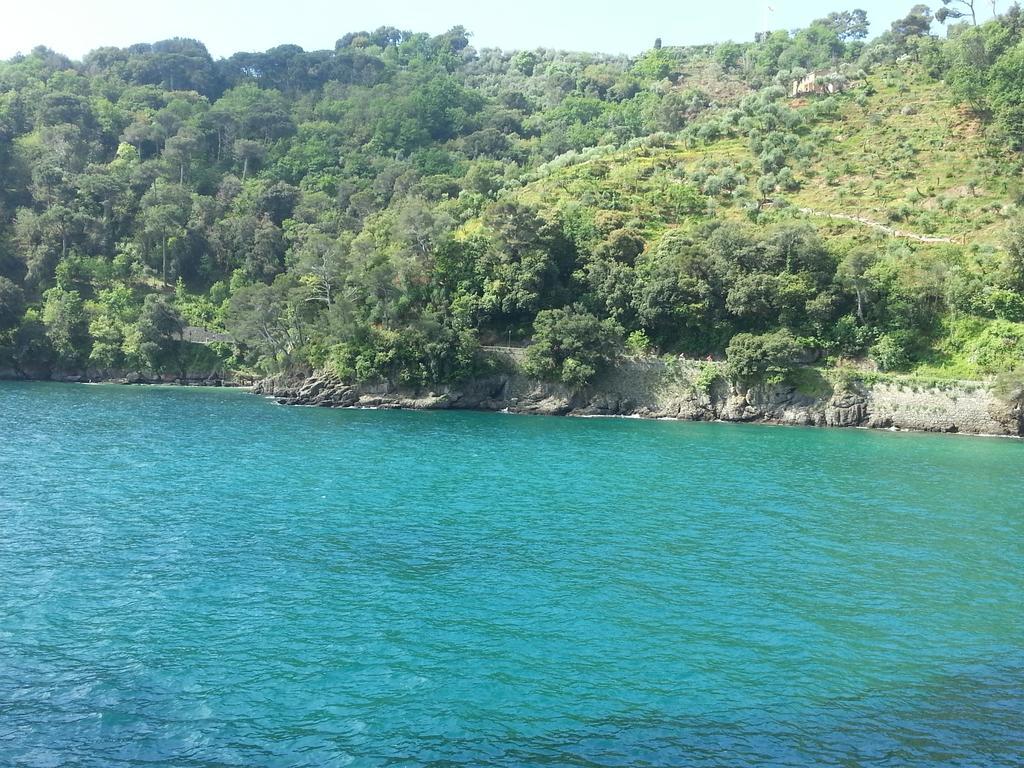 Civico 3 Daire Portofino Dış mekan fotoğraf